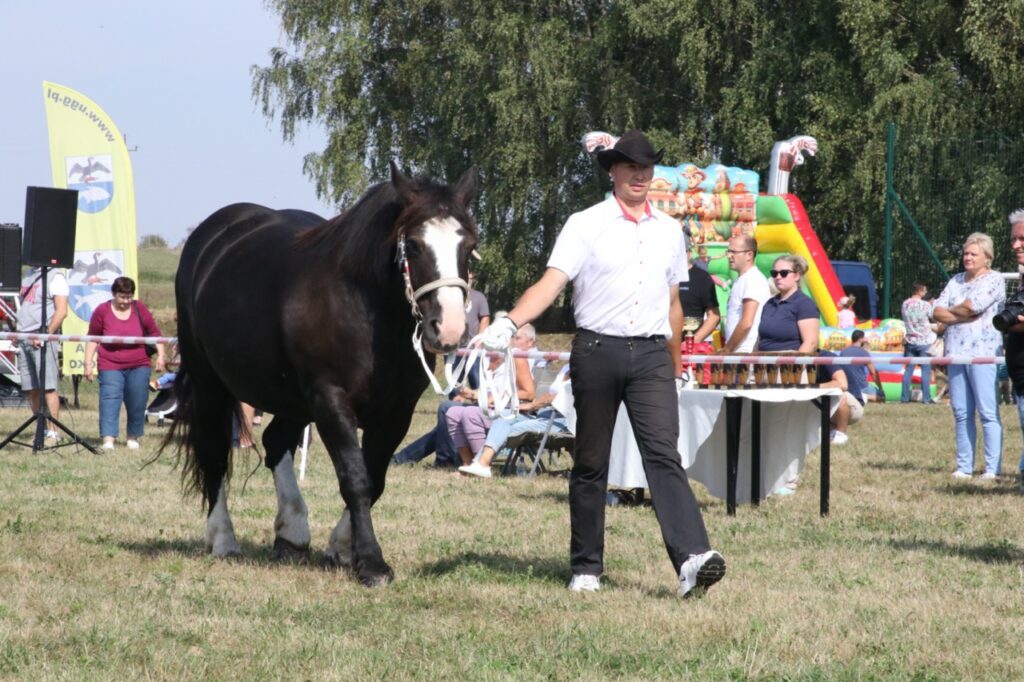imprezy Giżycko