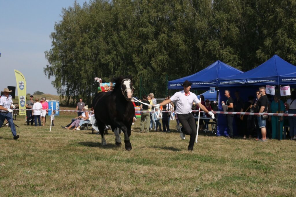 imprezy Giżycko