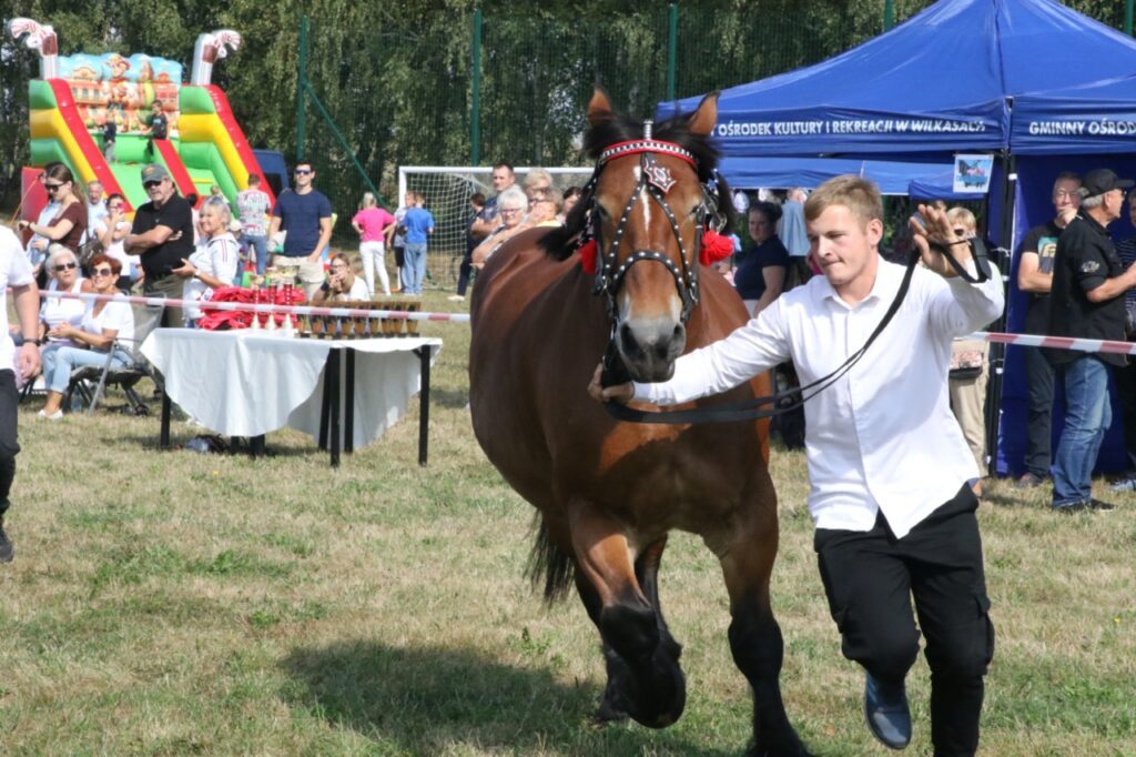 imprezy Giżycko
