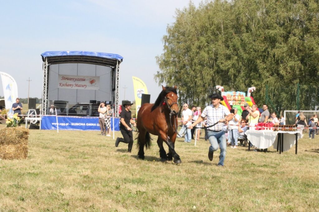 imprezy Giżycko