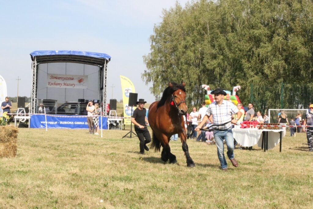 imprezy Giżycko