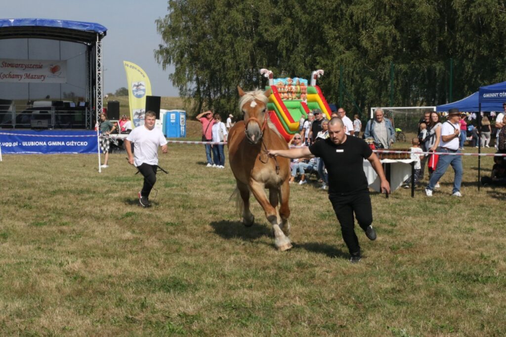 imprezy Giżycko
