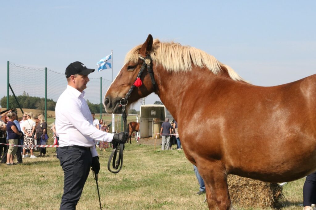 imprezy Giżycko