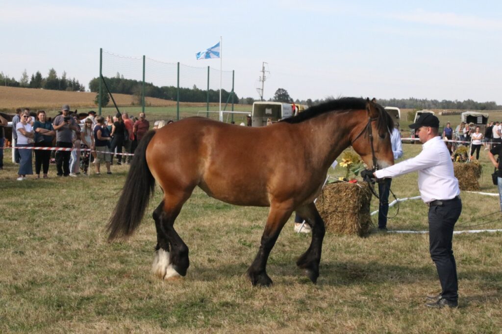 imprezy Giżycko