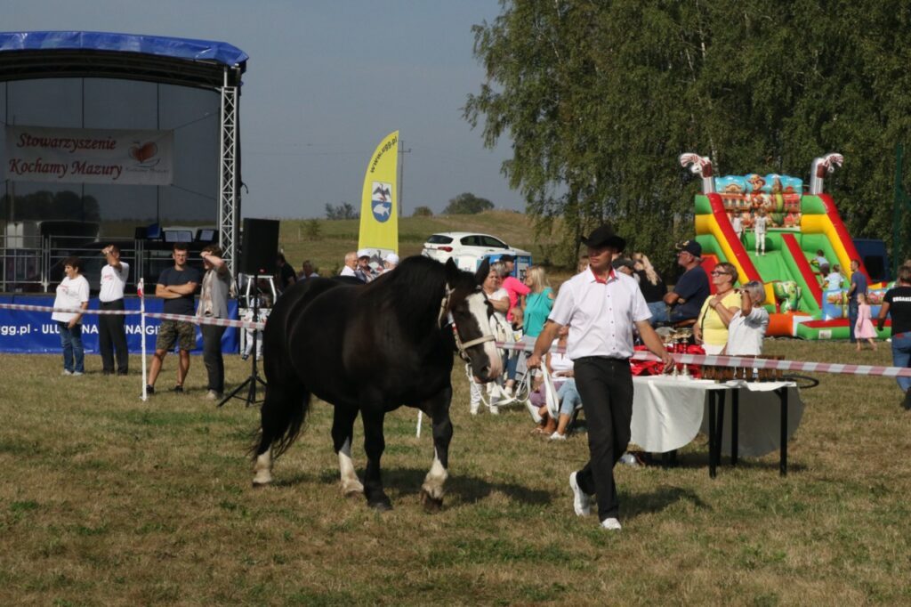 imprezy Giżycko