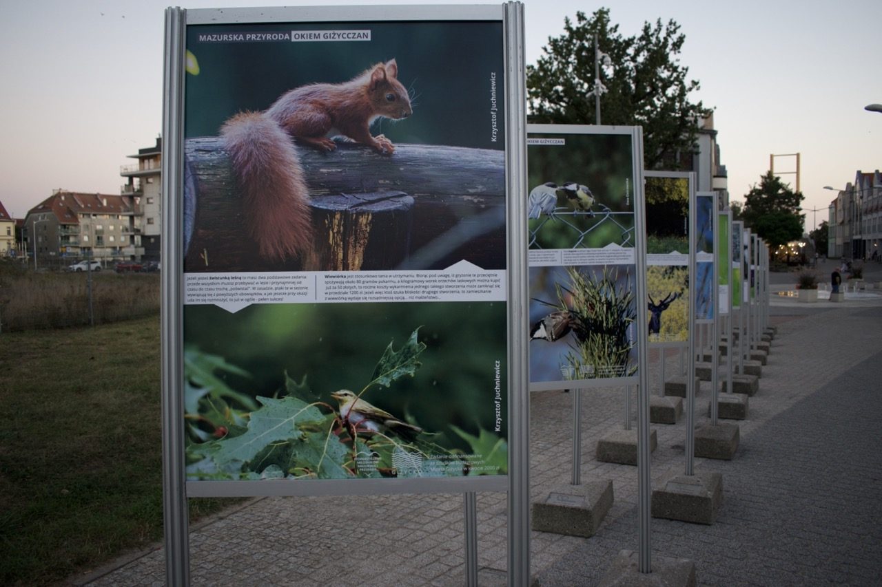 Wystawa fotograficzna “Mazurska przyroda okiem giżycczan”