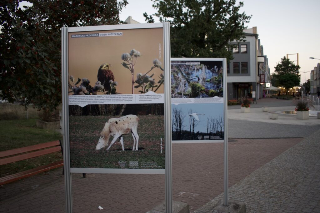 Wystawa fotograficzna "Mazurska przyroda okiem giżycczan"