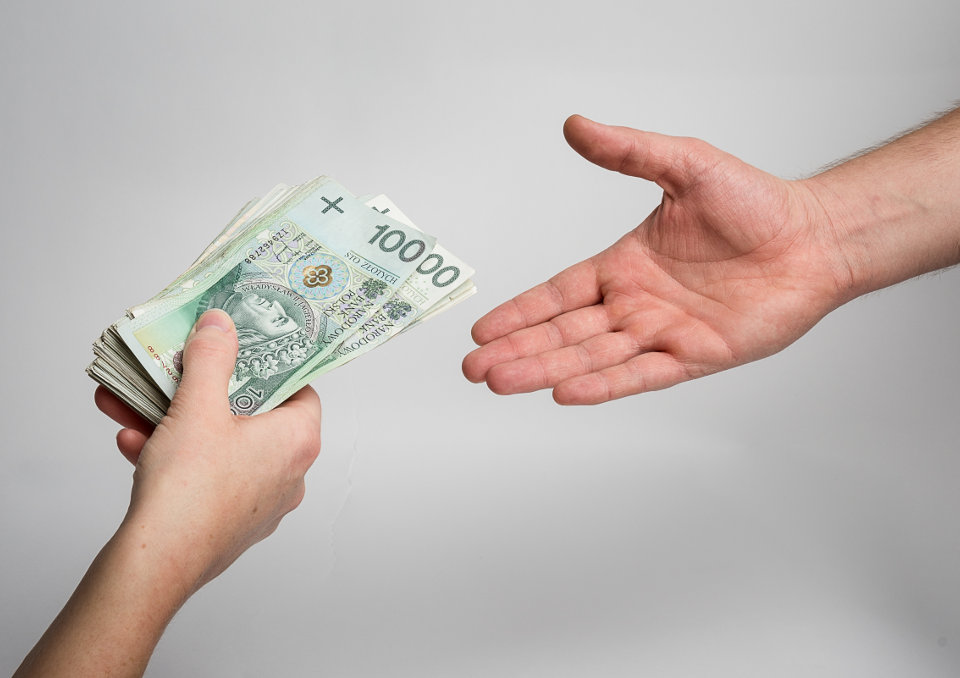 800+, wniosek tylko do końca czerwca. Co warto wiedzieć?