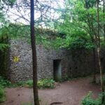 Bunkry w mamerkach