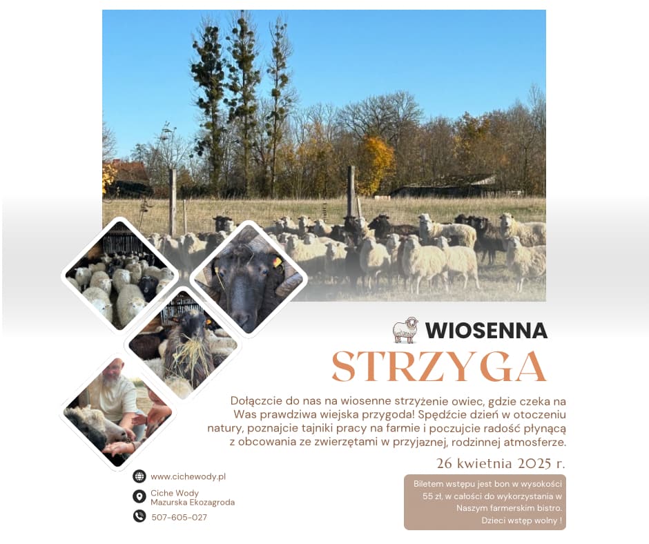 Wiosenna Strzyga