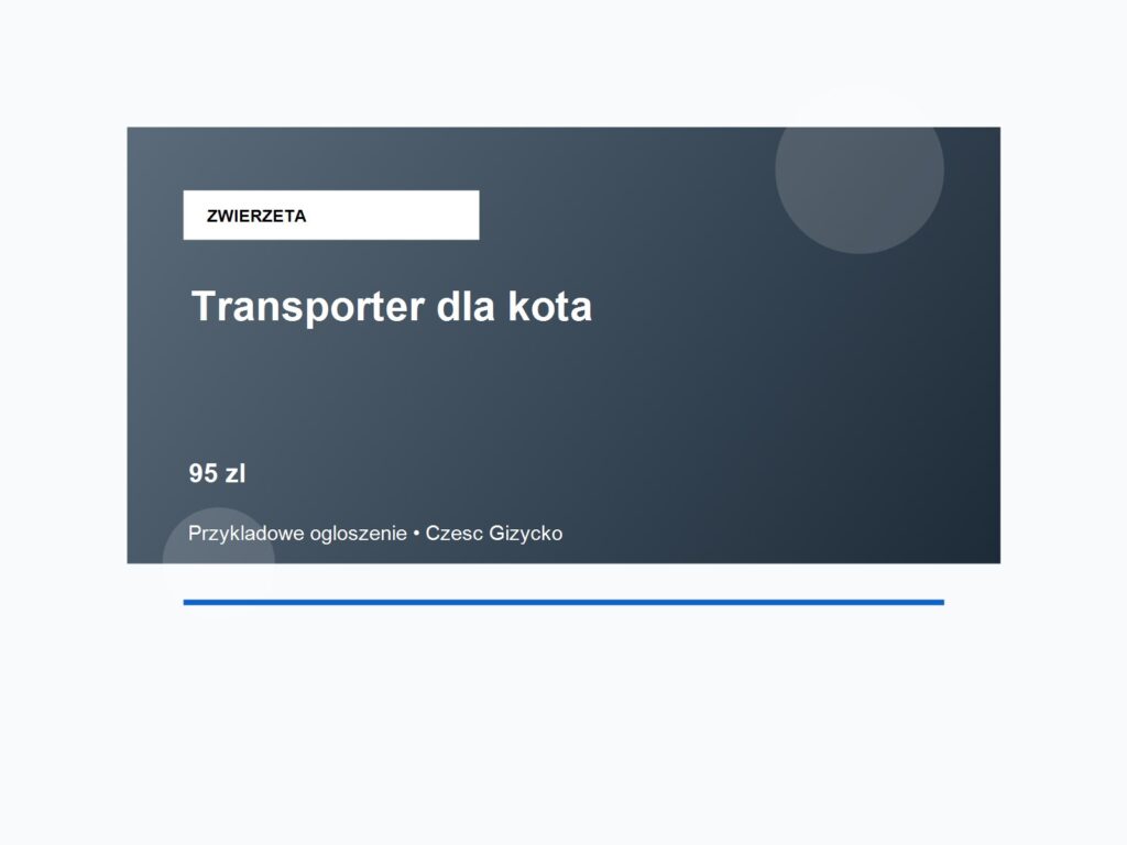Transporter i akcesoria dla kota
